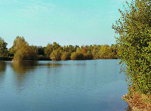 LakeBeauregard_Bookings