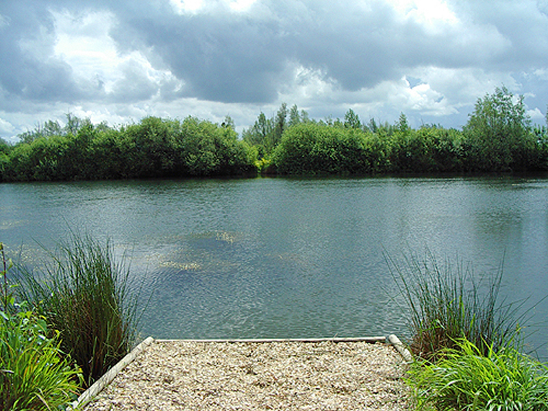 placeholder image-sq