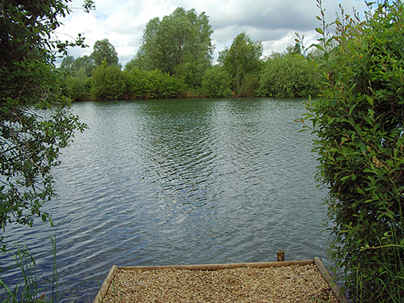 placeholder image-sq