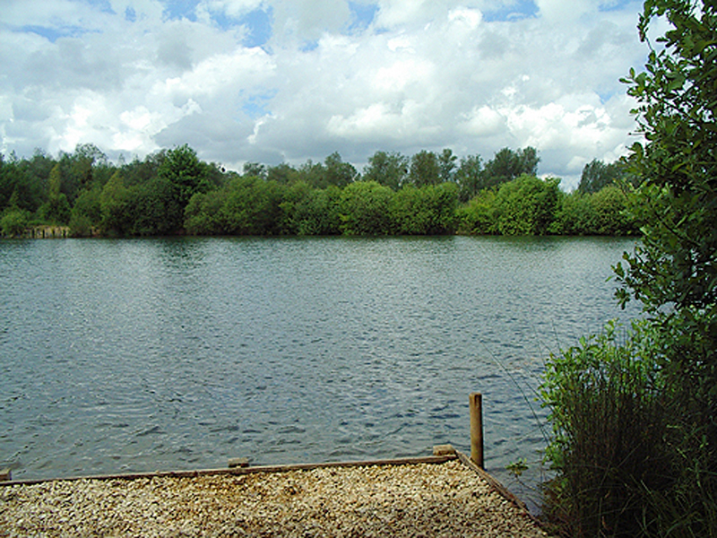 placeholder image-sq