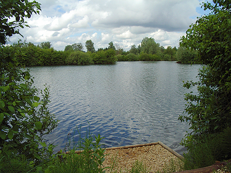 placeholder image-sq