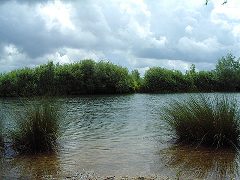 placeholder image-sq