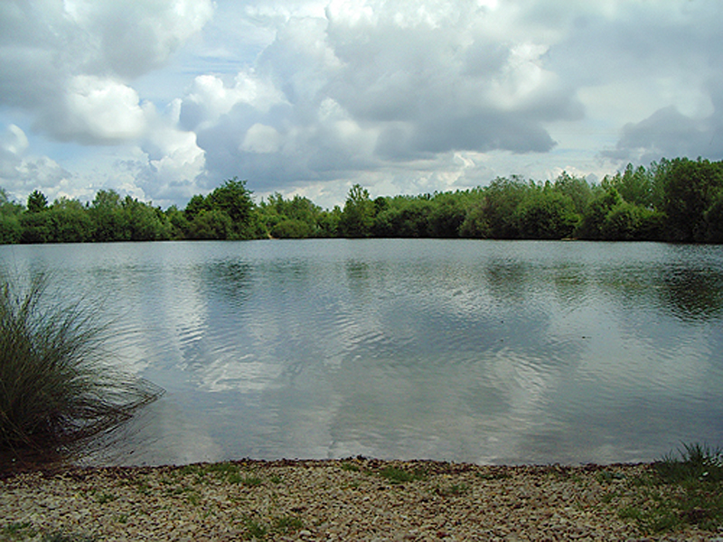 placeholder image-sq