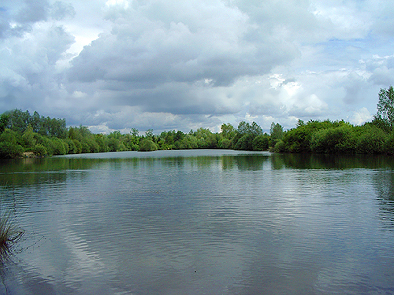 placeholder image-sq