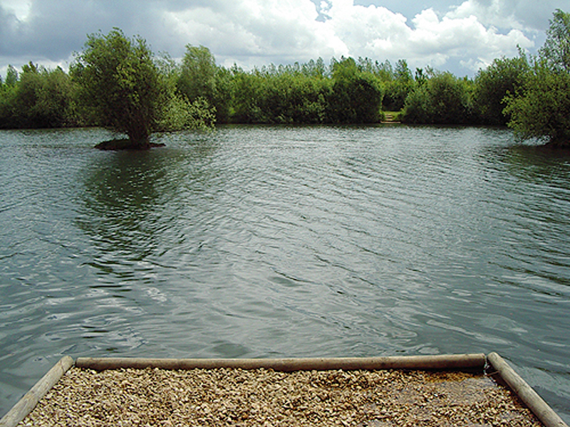 placeholder image-sq