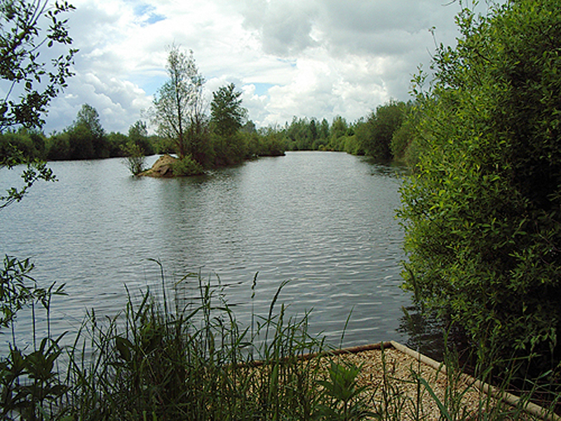 placeholder image-sq