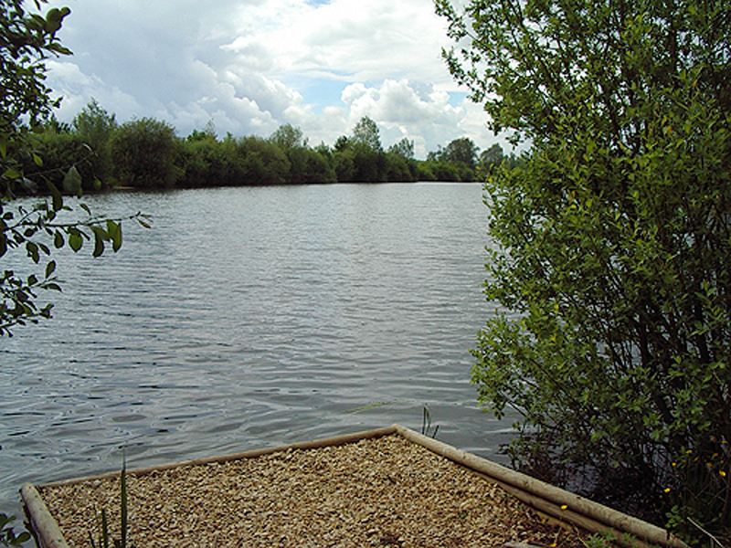 placeholder image-sq