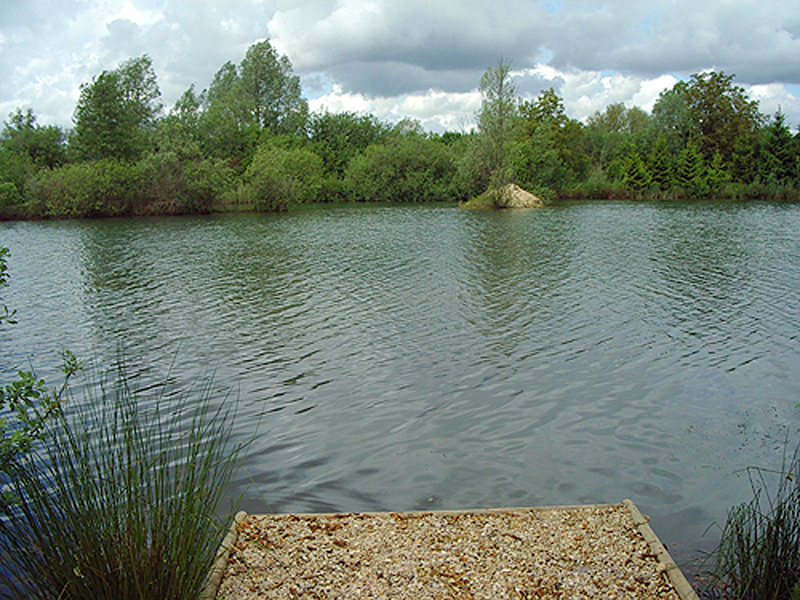 placeholder image-sq