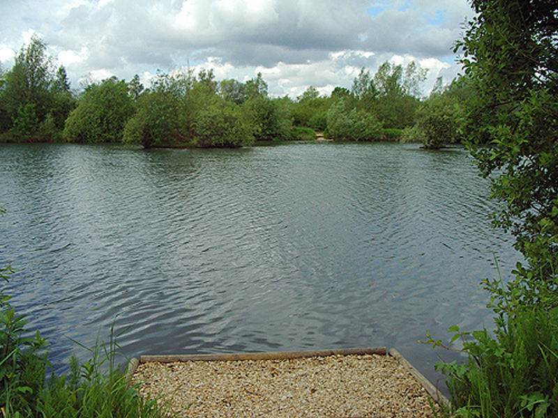 placeholder image-sq